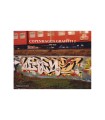 Copenhagen Graffiti II 1986-2020